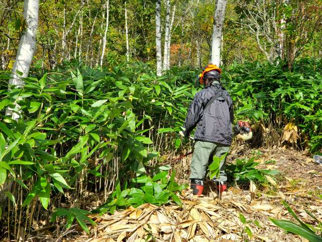 ブログ写真01