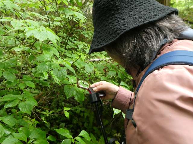 ブログ写真02