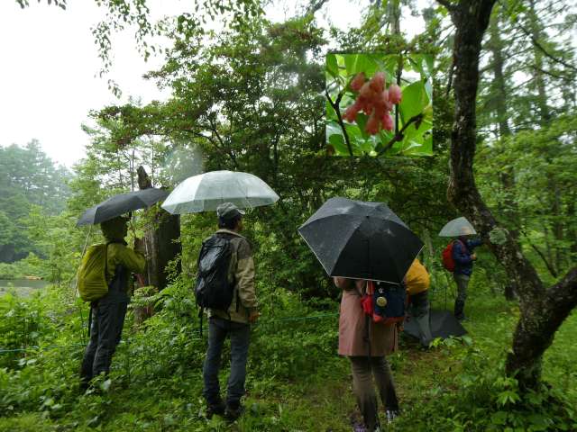 ブログ写真06