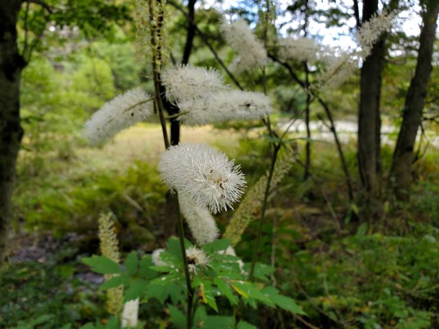 ブログ写真08
