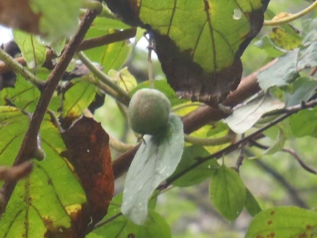 ブログ写真15