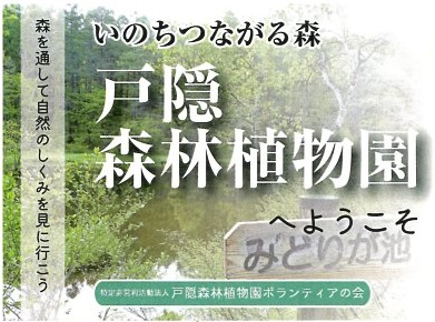 リーフレットの画像