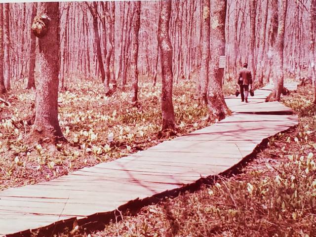 1970-05dの写真