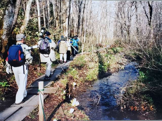 1999-0506の写真