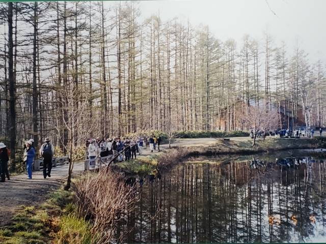 1999-0509の写真