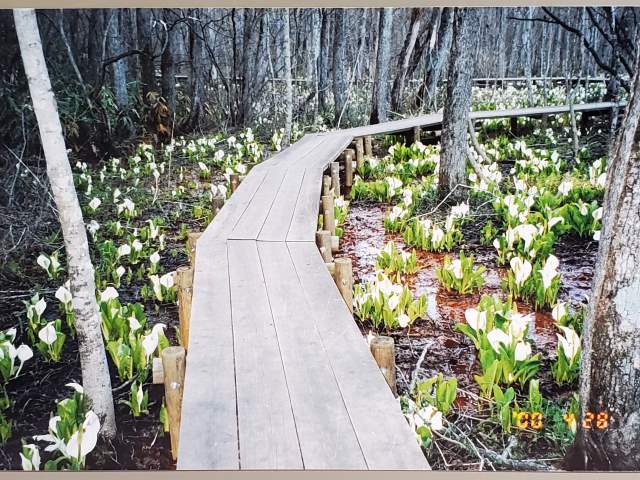 2000-0428の写真