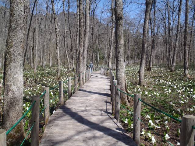 2011-0513aの写真