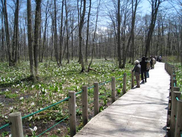 2011-0515の写真