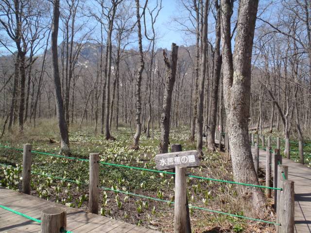 2014-0511の写真