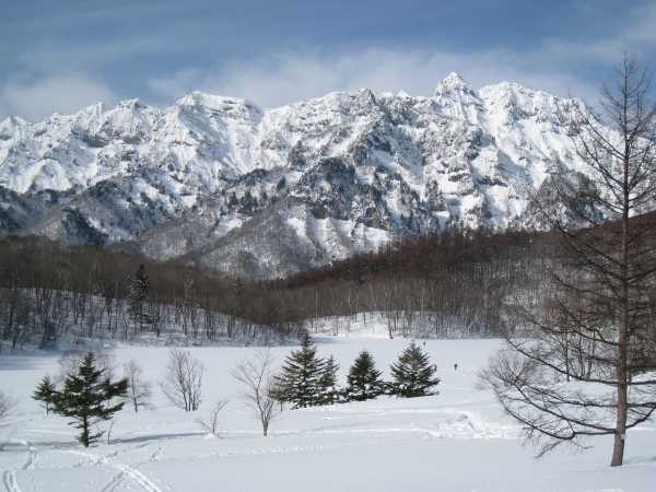 雪上自然観察会の紹介 写真04-06