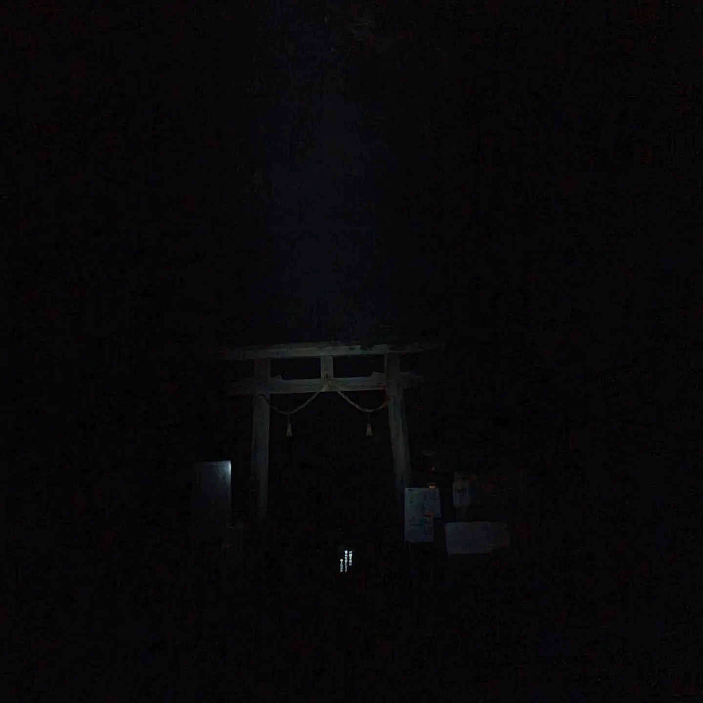 ヒメボタル観察会の紹介 写真02-11