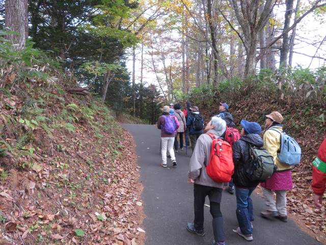 写真ファイル写真01