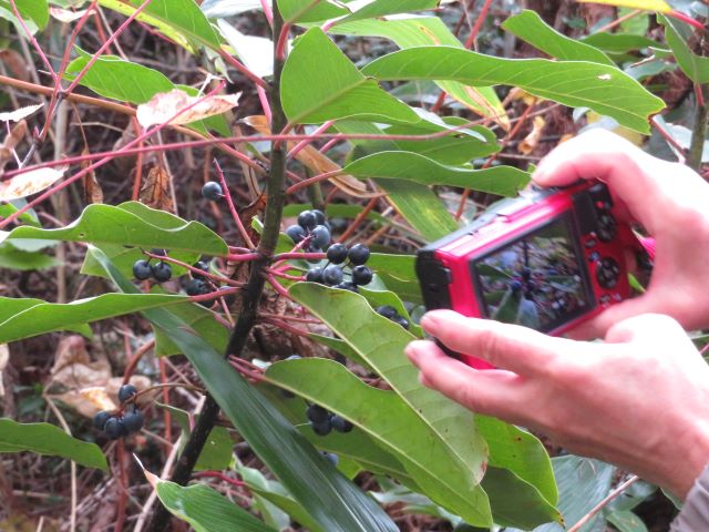 写真ファイル写真06