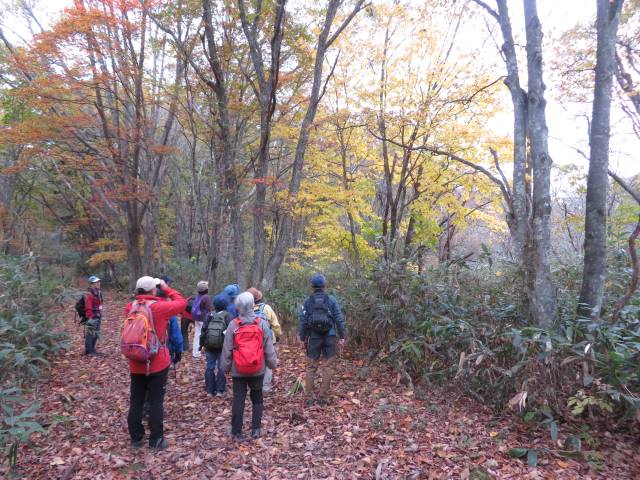 写真ファイル写真08