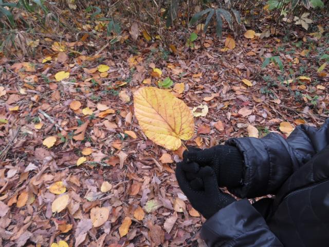 写真ファイル写真09