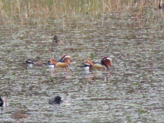 写真ファイル写真13