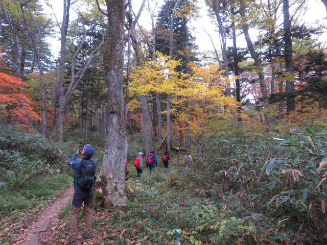 写真ファイル写真14