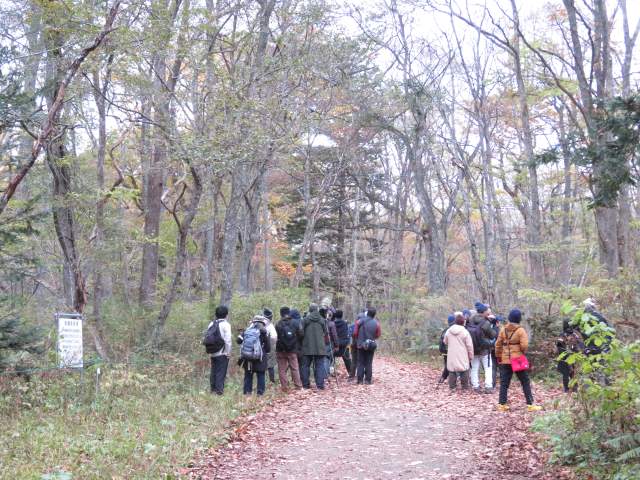 写真ファイル写真15