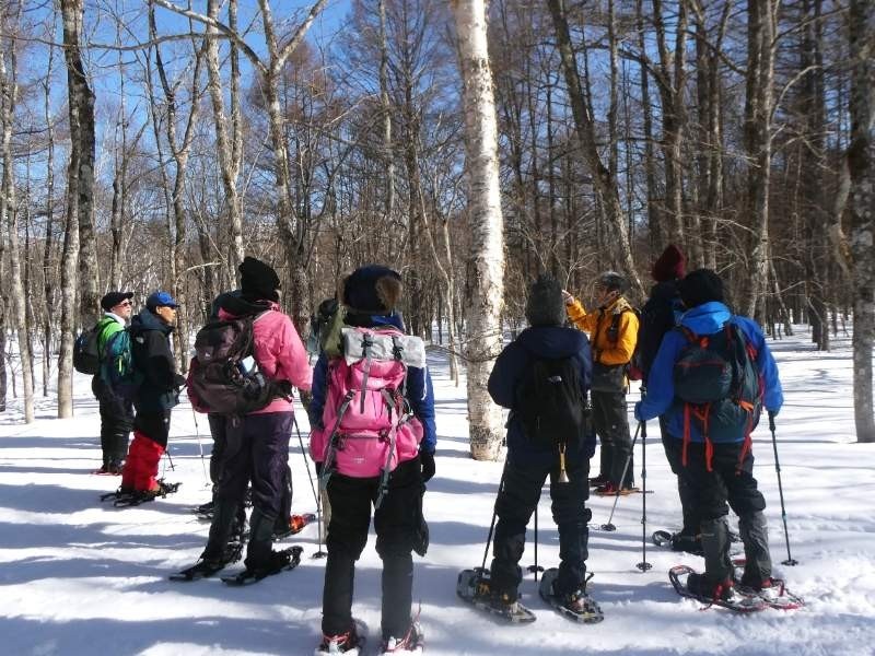 ブログ写真20260222