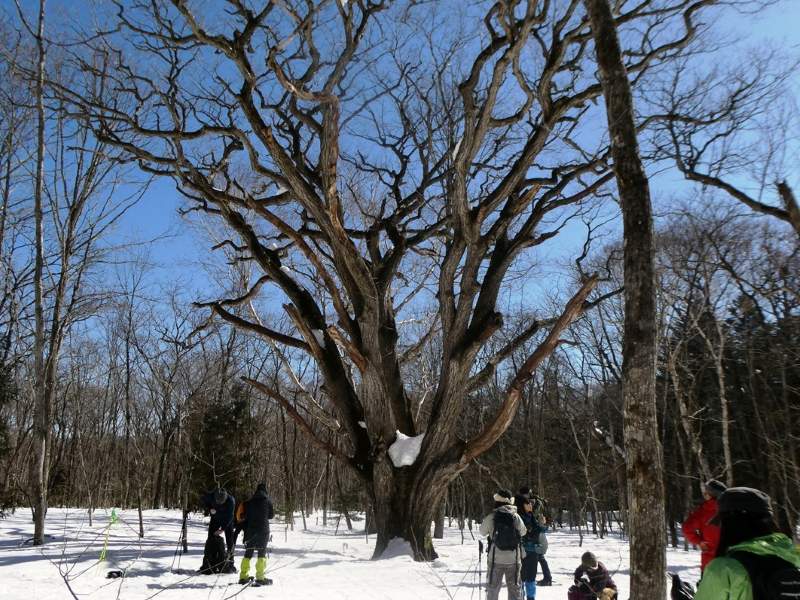 写真ファイル写真04